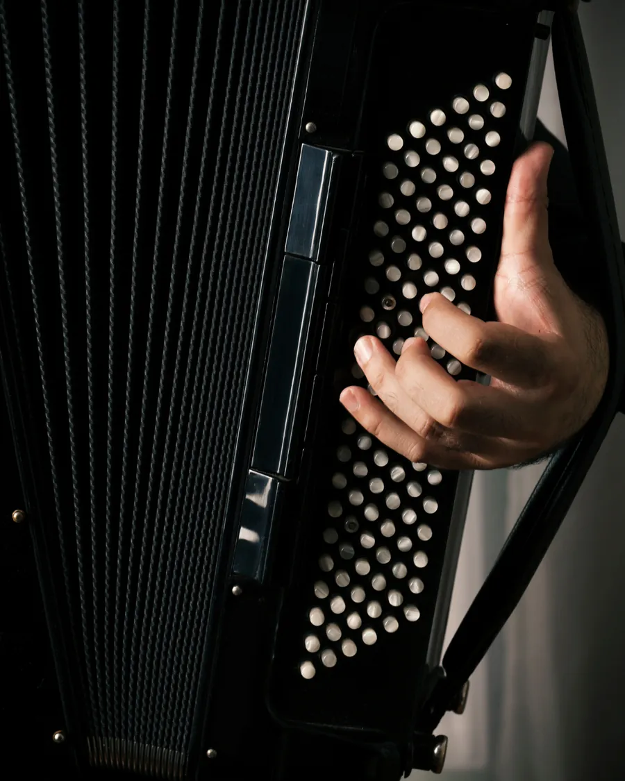 Accordion bellows detail in shadow